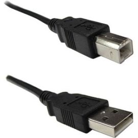 10FT USB-A MALE TO USB-B MALE
